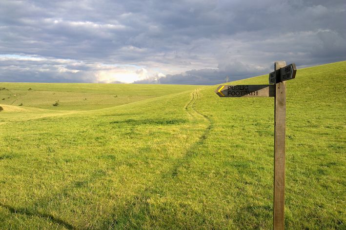 Eastbourne downland - saved!